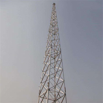 衡水25米圓鋼避雷塔生產廠家