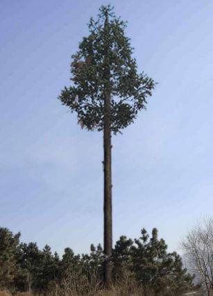 邢臺仿生樹避雷塔生產廠家