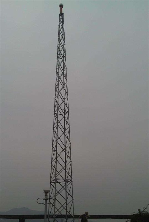 北京20米鋼結(jié)構(gòu)避雷針?biāo)S家