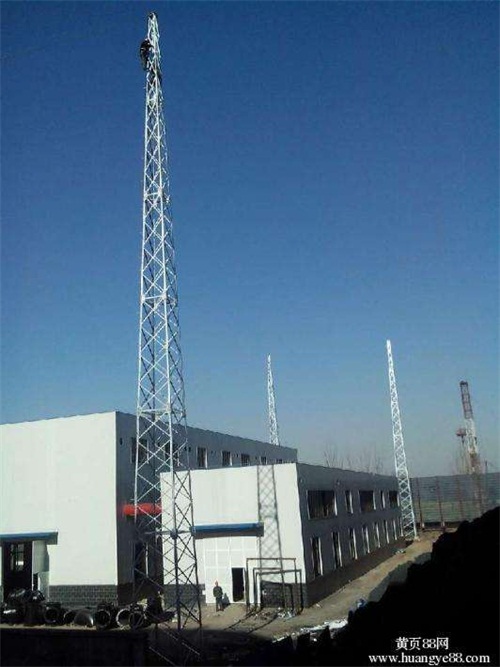 北京20米鋼結(jié)構(gòu)避雷針?biāo)S家